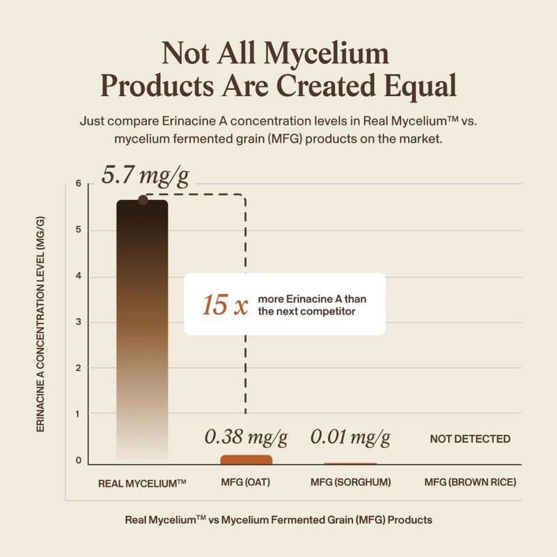 Not All Mycelium Products Are Created Equal