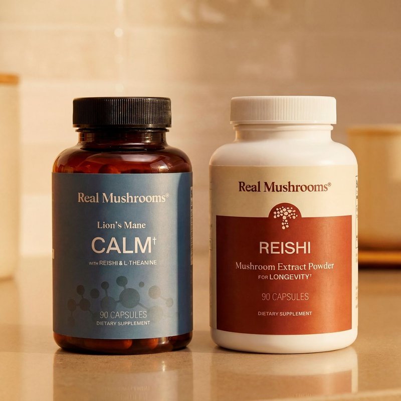 Daily Calm Duo Lion's Mane Blends Bundle