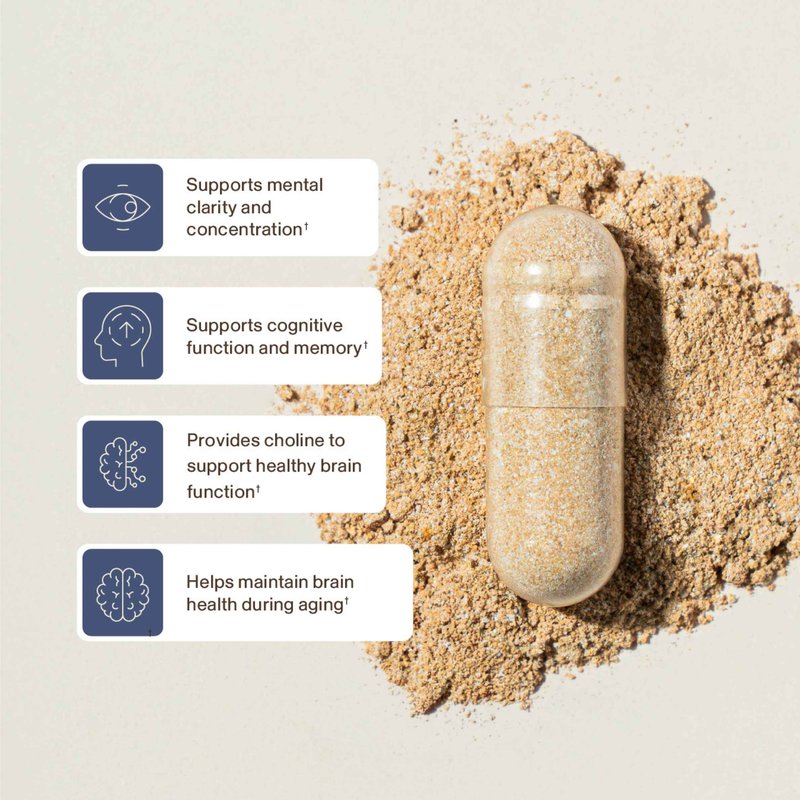 How Lion's Mane Focus supports you from growing clinical research