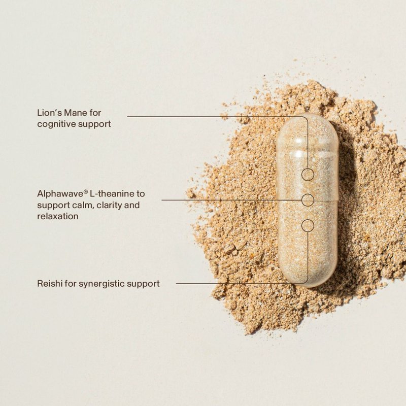 Lion's Mane Calm ingredients, no fillers