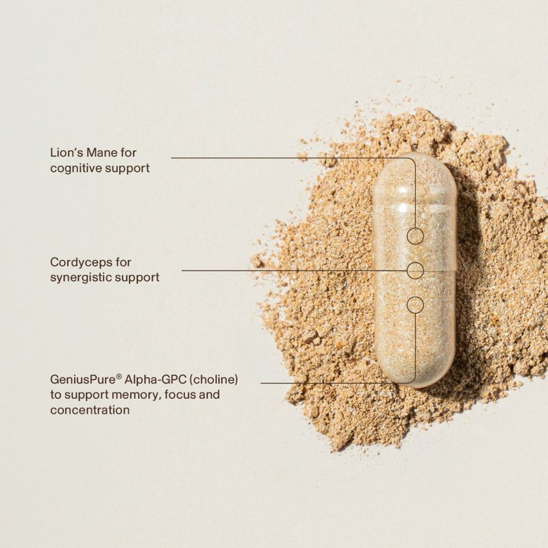 ingredients of Real Mushrooms' Lion's Mane FOCUS without any fillers