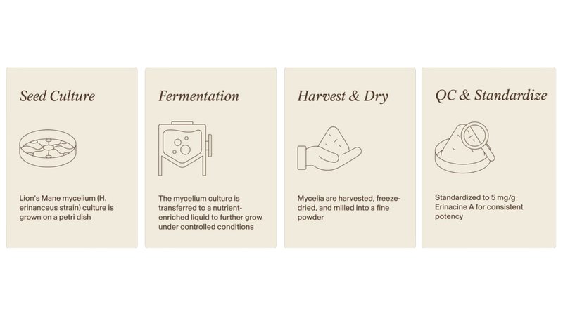 Production Method of Real Mycelium