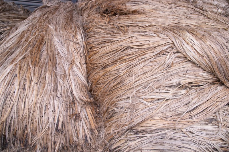 Stacks of raw jute fibres (Source: DepositPhotos)