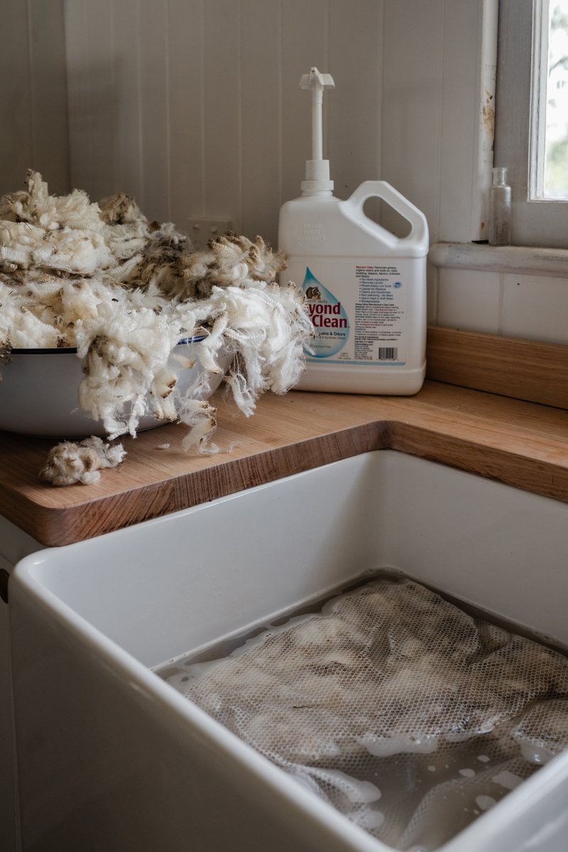 Supplies for scouring raw sheep fleece (Photographer: Samantha Gehrmann)