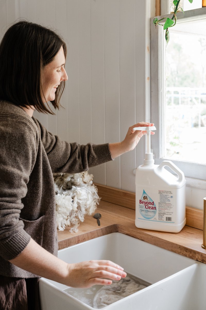 Unicorn Clean’s Beyond Clean detergent being used to scour raw wool (Photographer: Samantha Gehrmann)