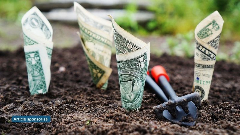 Compte bancaire gratuit pour SCI : quels frais sont à bien vérifier ? Compte bancaire gratuit pour SCI : quels frais sont à bien vérifier ?