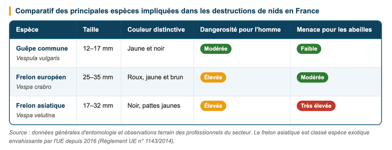 destruction de nids de guêpes en France destruction de nids de guêpes en France