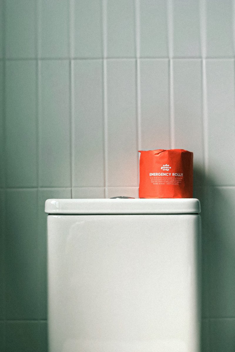 Toilet Flapper Stays Up