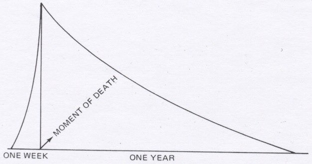 ghost haunt a house graph