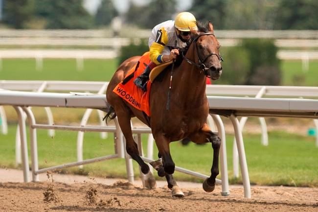 Shirl's Speight runs down the woodbine stretch