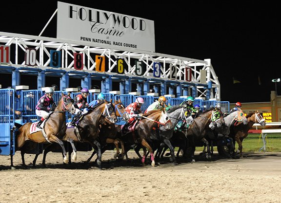 Horses break from the gate at Penn National