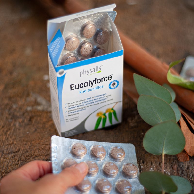 Hand holding open Physalis Eucalyforce® Throat Pastilles box surrounded by eucalyptus sprigs