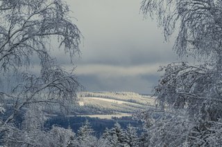 Neige à la Baraque Fraiture