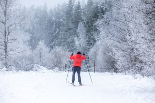 Ski de fond en Hautes Fagnes
