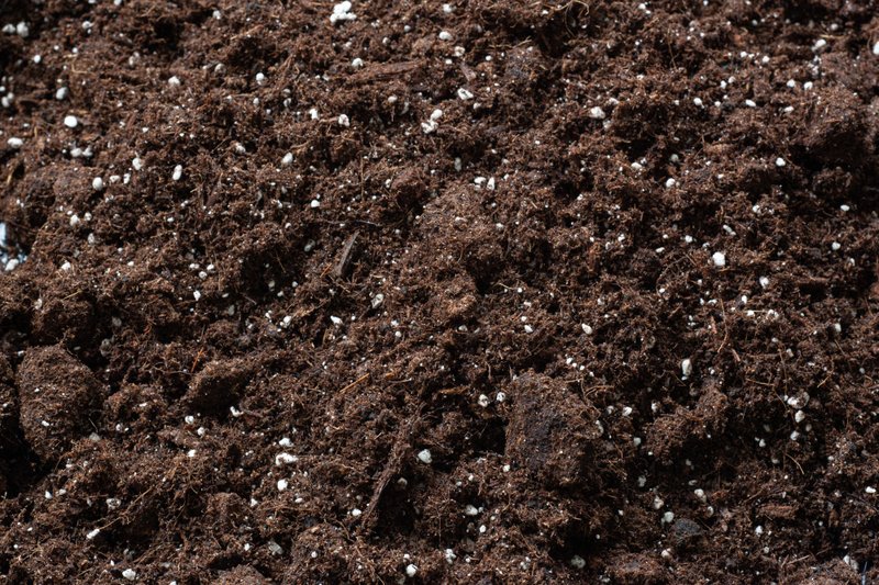 Close-up of dark, fibrous Jiffy growing substrate with small white particles mixed throughout.