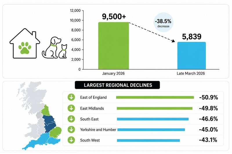 Pet-Friendly Rentals Are Still Falling. What Does That Mean Now the Renters’ Rights Act Is Here?