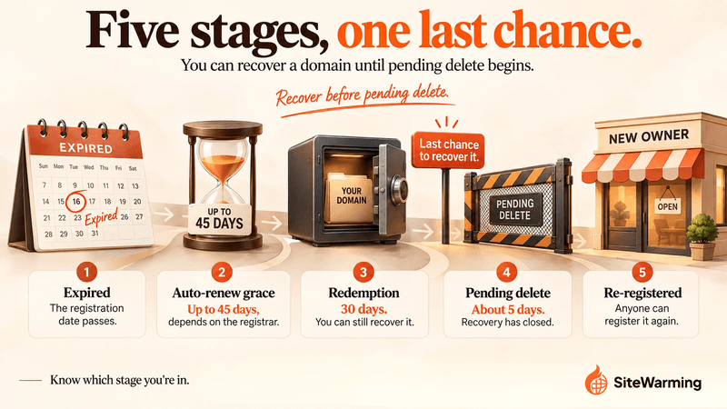 Article illustration