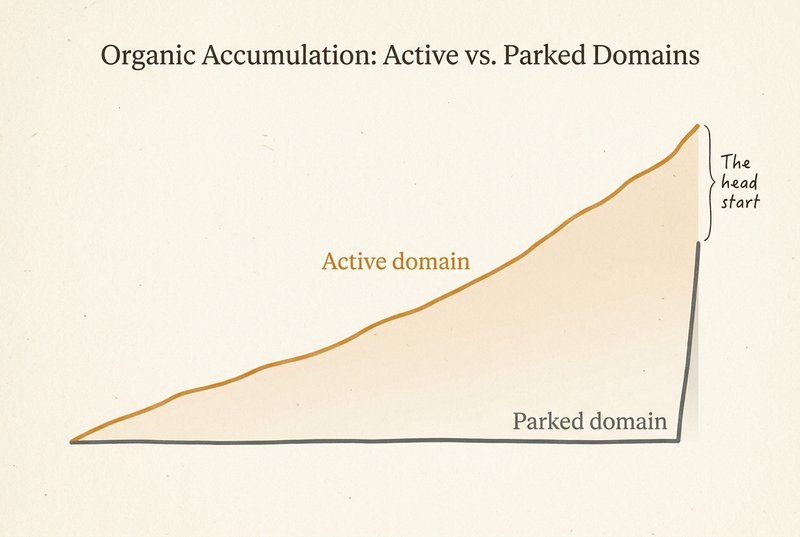 Line graph showing signal accumulation over 18 months: an active domain's amber curve rises gradually while a parked domain stays flat until launch day — illustrating the compound value of early presence.