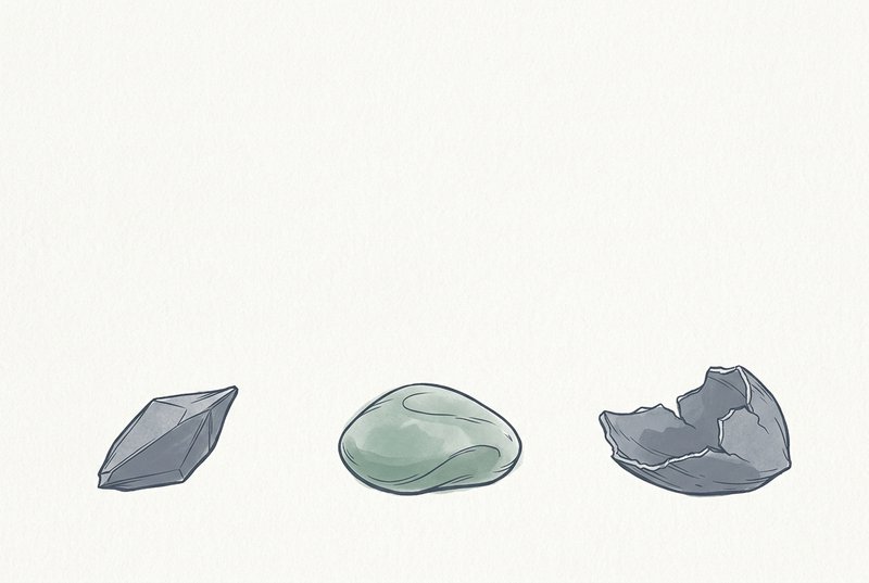 Three distinct seeds or natural objects resting separately on textured paper, each different in shape and character, arranged with generous space between them, rendered in ink and watercolor.