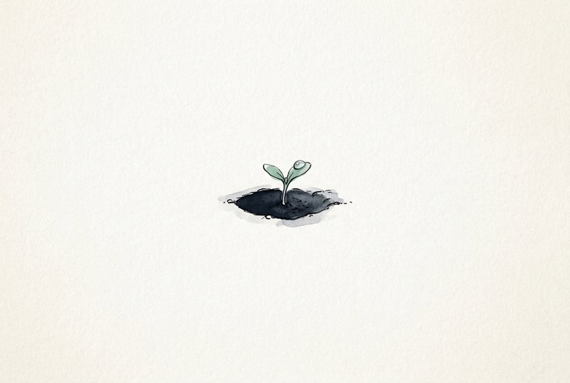 A single tiny sprout just emerging from a small depression in soil, with a tiny drop of water catching dawn light, rendered in minimal ink linework on textured paper.