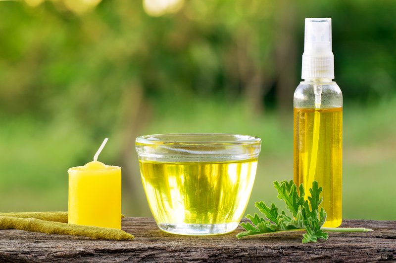 Citronella (Scent Geranium). Pelagorium Citrosum essence oil in a cup with a candel incence and spray bottle. Over a wood plank with green blurre3de background and copy space.