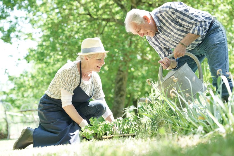 outdoor gardens