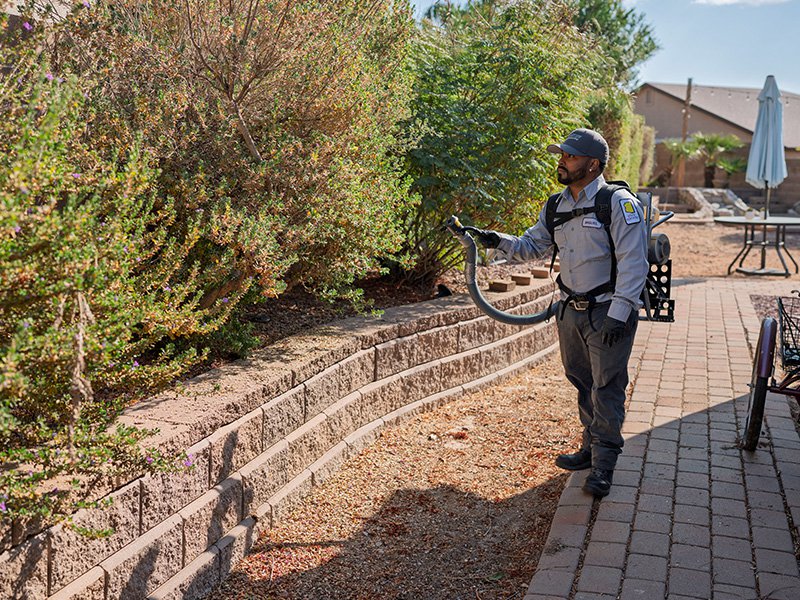 northwest exterminating tech treating for mosquitoes phoenix