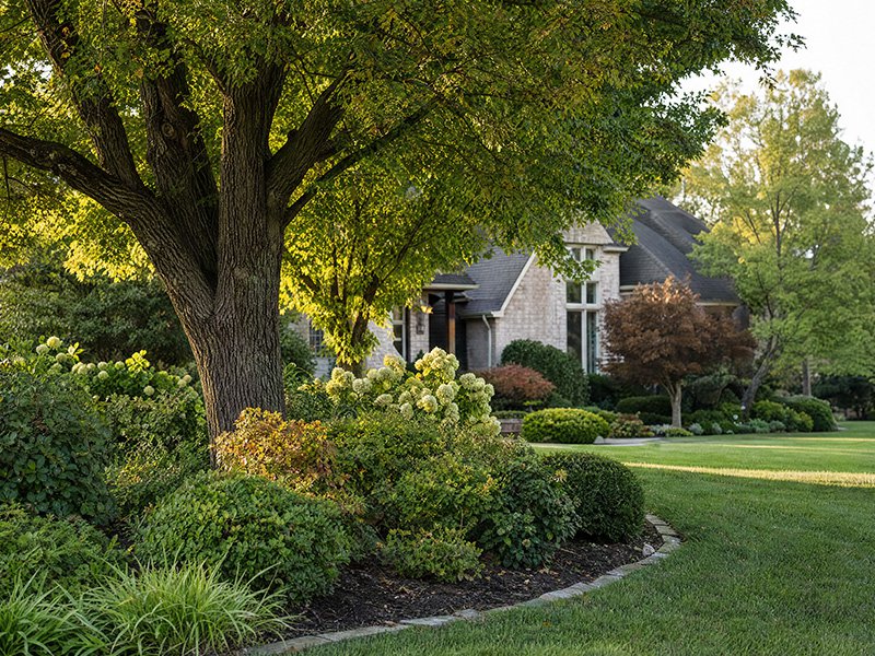 beautiful garden