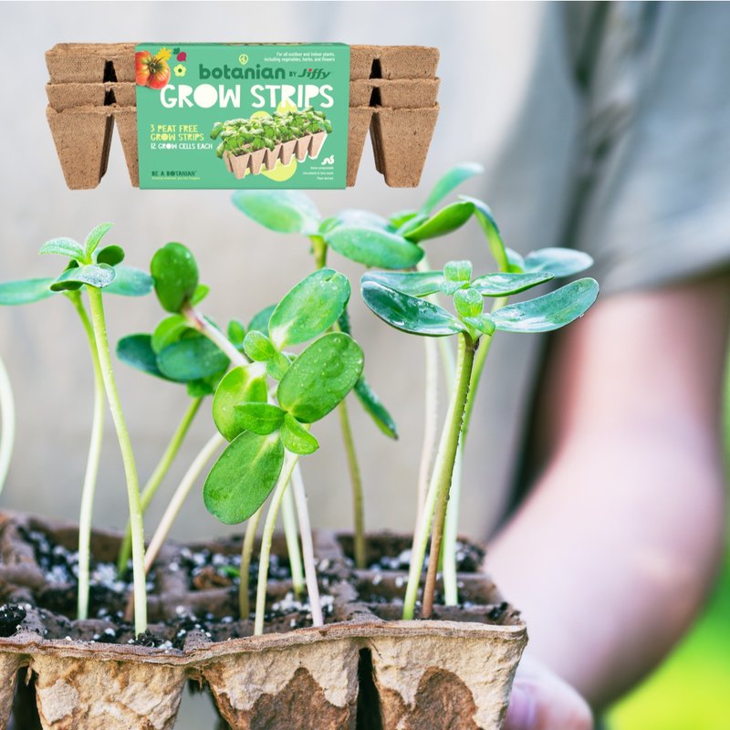 Grow Strips