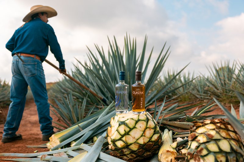 Private label agave spirits