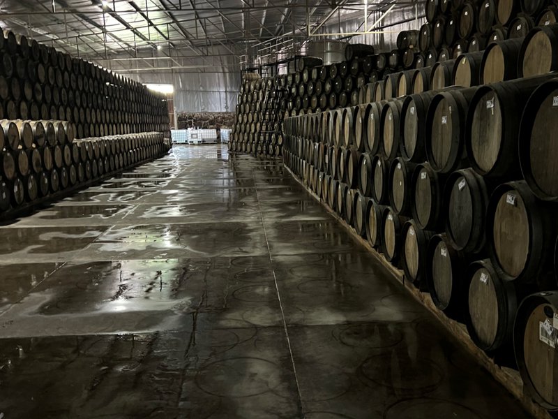 agave spirit