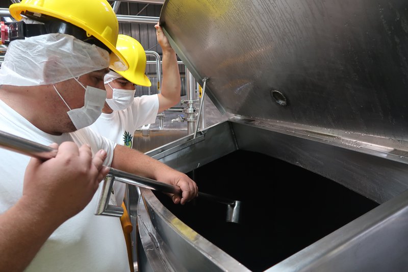 Employees preparing agave syrup