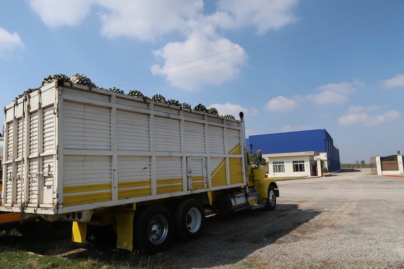 Truck used for sourcing agave ingredients.