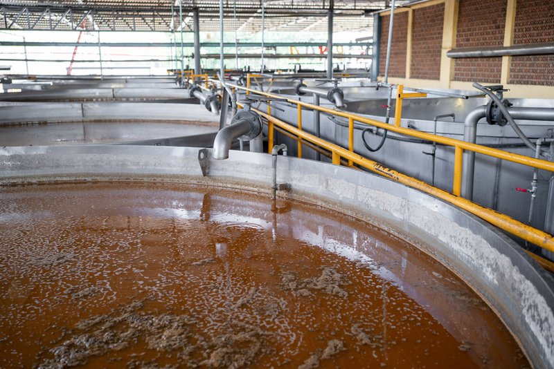 Agave wine being fermented in a beverage factory.