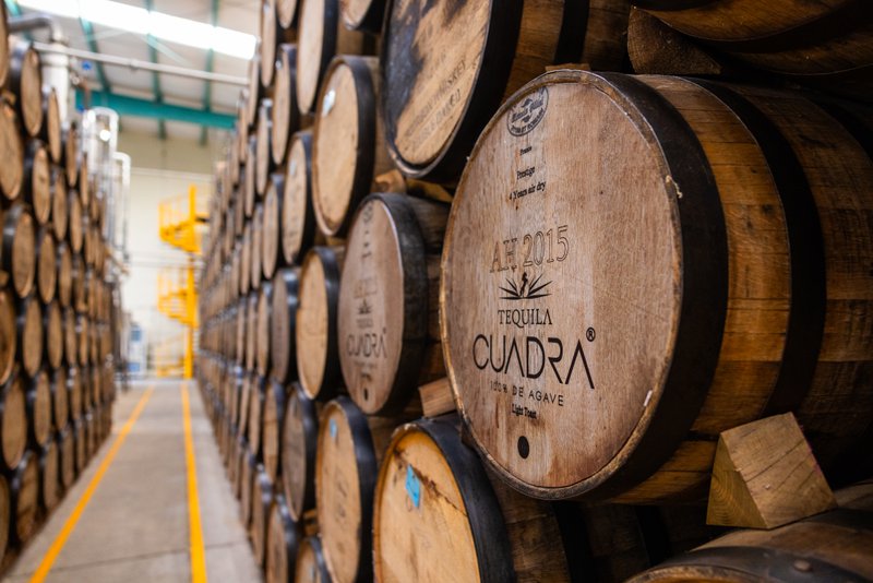 Agave ingredients stored in barrels.