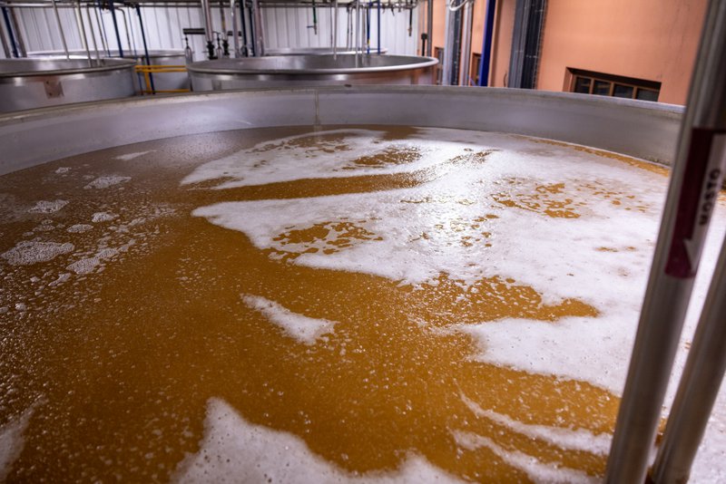 agave syrup
