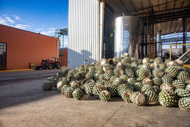 agave spirit DSP warehouse stock US