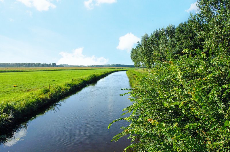 Beek in Prinsenbeeks buitengebied