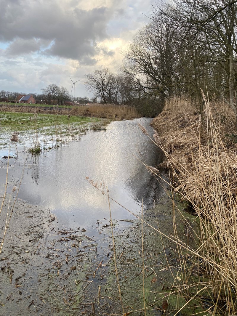 Vernatting door beveractiviteit in Arendonk