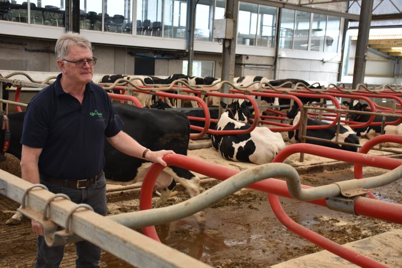 Mike Jones en de nieuwe boxafscheidingen en watermatrassen bij de droge koeien