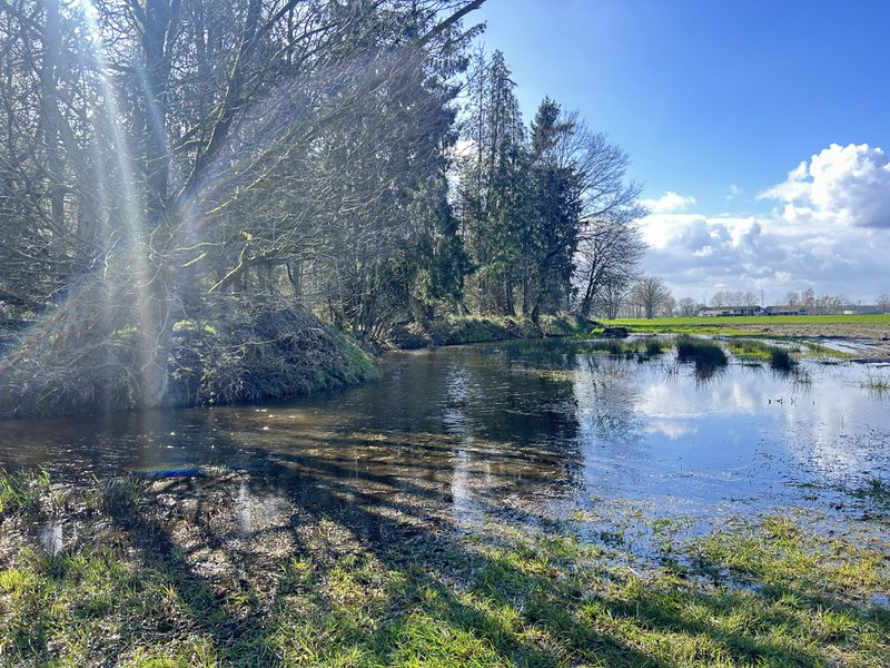 Beverdam in Geel