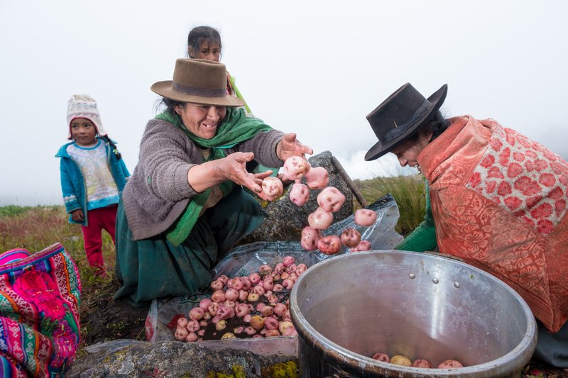 Potato farmer ladies are preparing lunch for their men, who are working on the field. On the road from Andahuaylas to Kishuara.