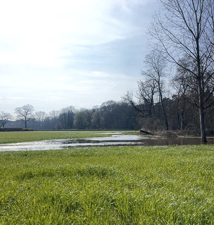 Vernatting door beveractiviteit in Wechelderzande (Lille)