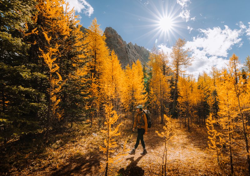 kananaskis fall hiking