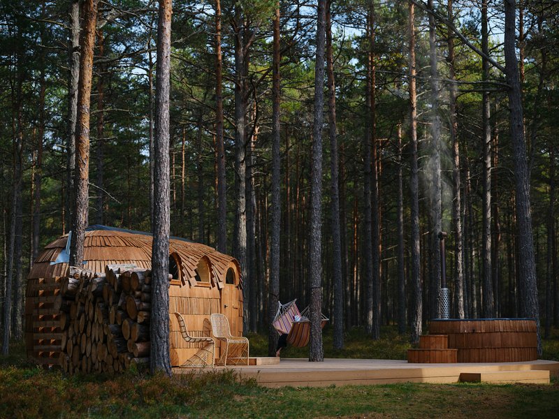 A man standing next to a pile of logs in a forest