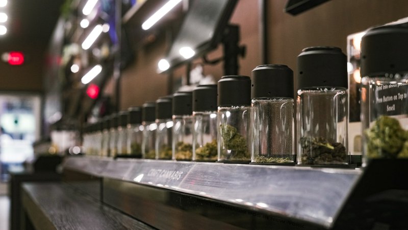 Row of glass jars filled with cannabis flowers