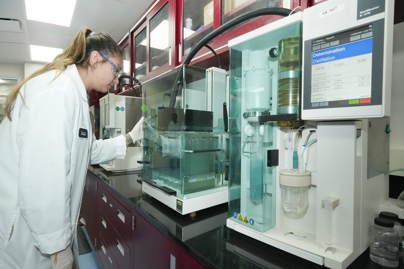 Bactolac Pharmaceutical scientist performing quality check tests.