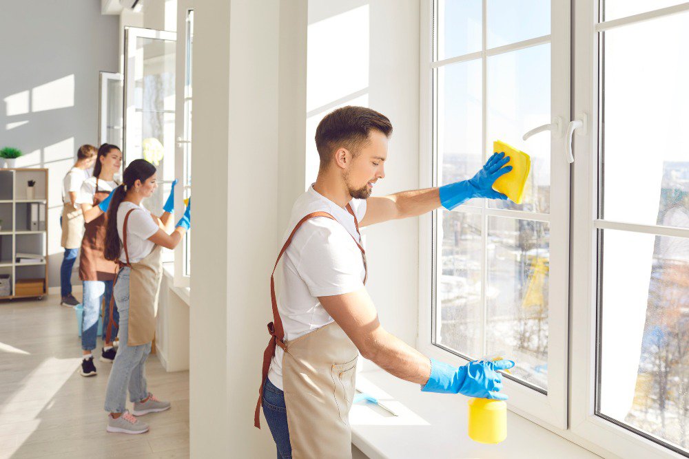 hiring professional cleaning hiring professional cleaning