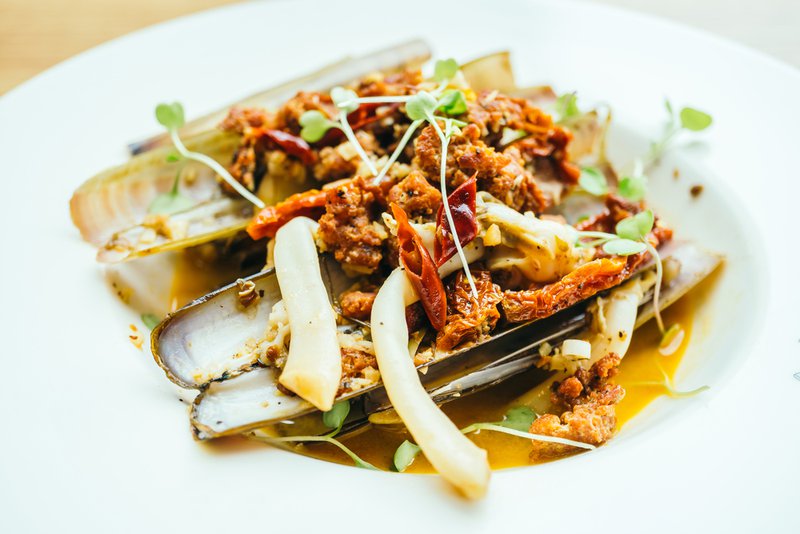 razor clam season