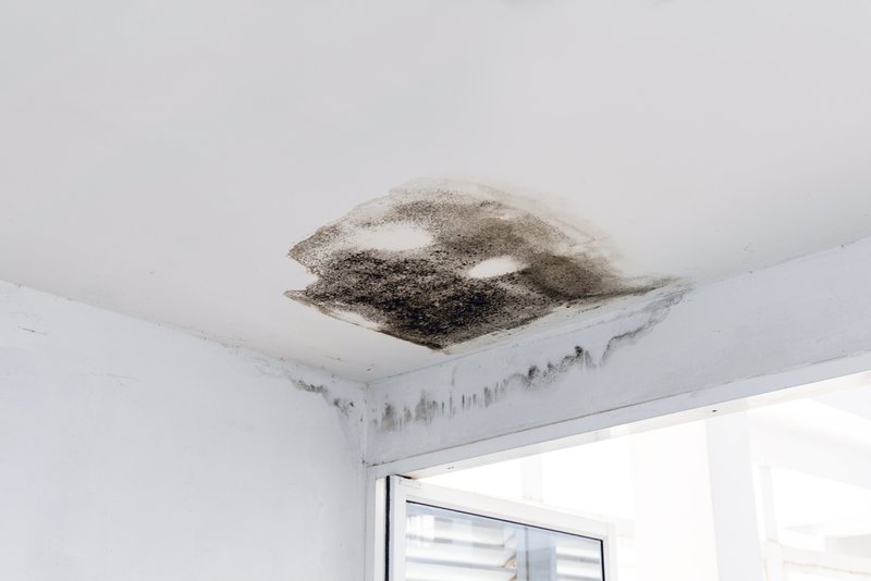hidden roof damage